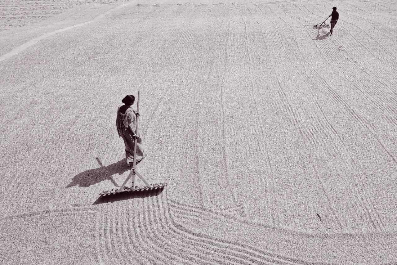 Two agricultural workers rake grain spread across a large drying field, photographed from above in black and white.